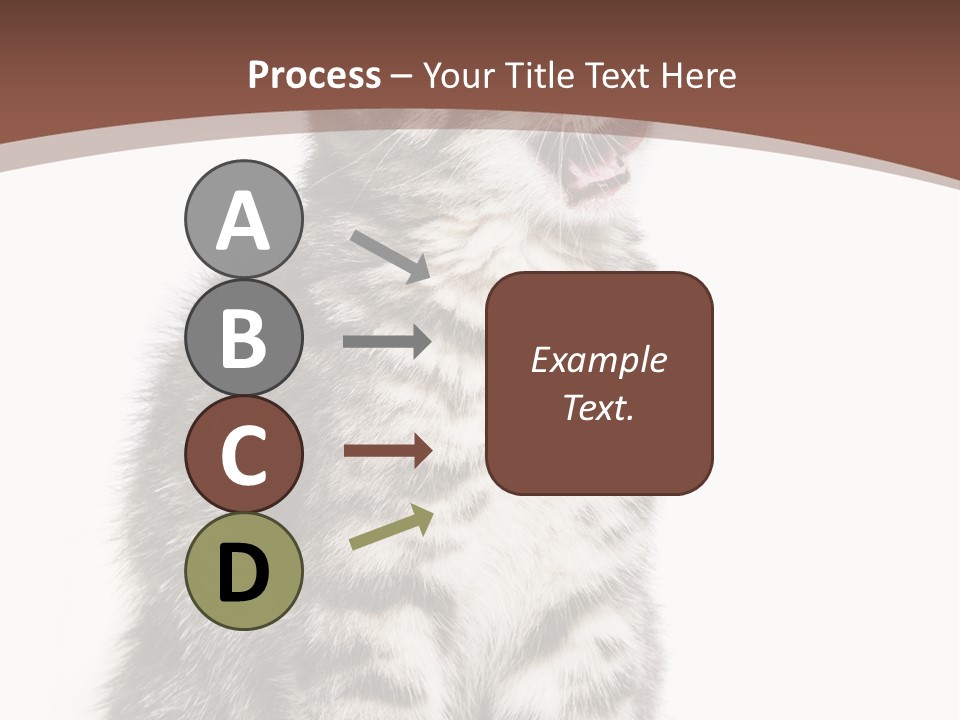 Spring Healthy Springtime PowerPoint Template