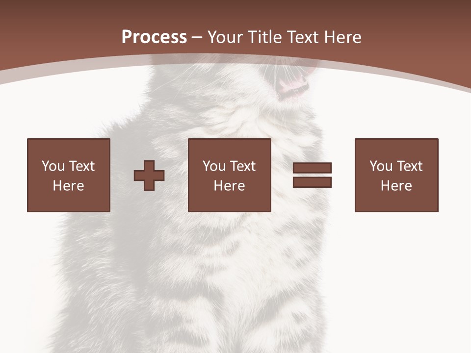 Spring Healthy Springtime PowerPoint Template