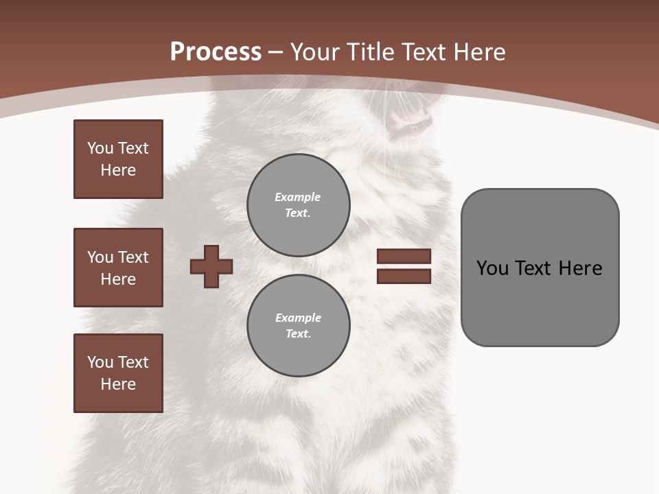 Spring Healthy Springtime PowerPoint Template