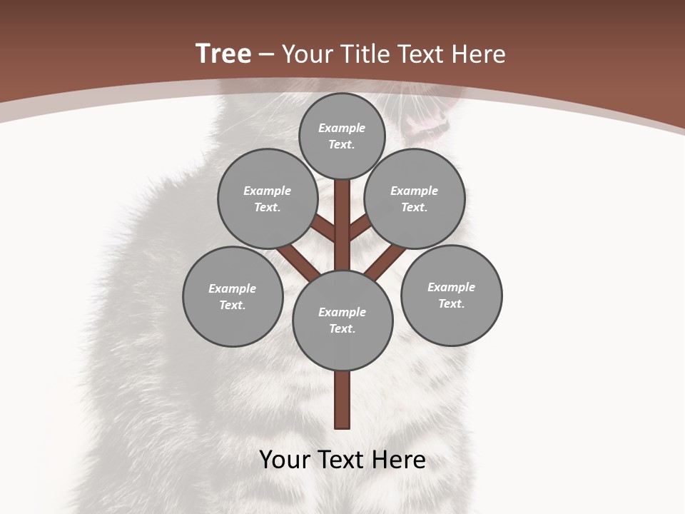 Spring Healthy Springtime PowerPoint Template