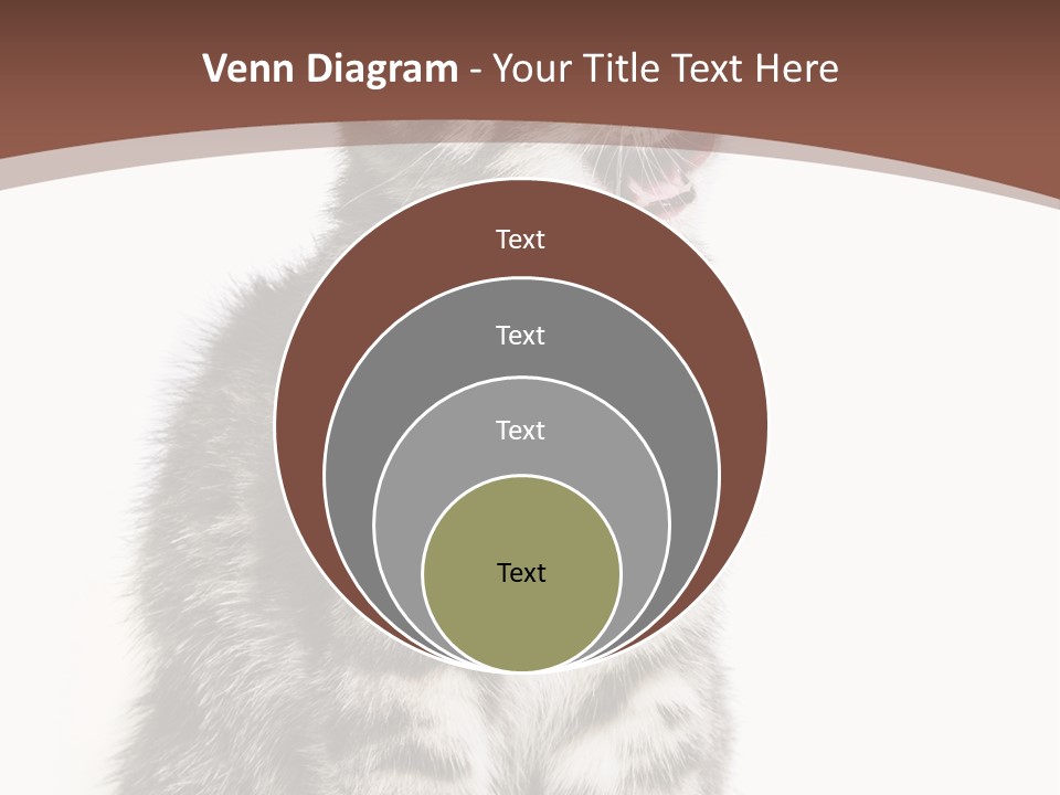 Spring Healthy Springtime PowerPoint Template