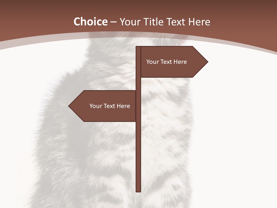 Spring Healthy Springtime PowerPoint Template