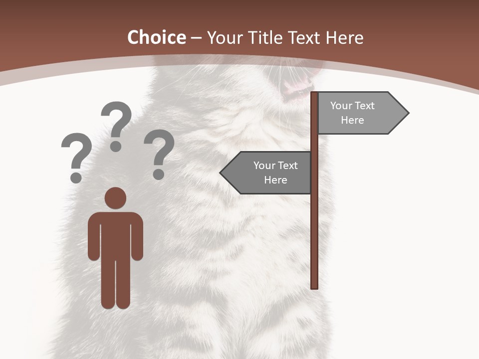 Spring Healthy Springtime PowerPoint Template