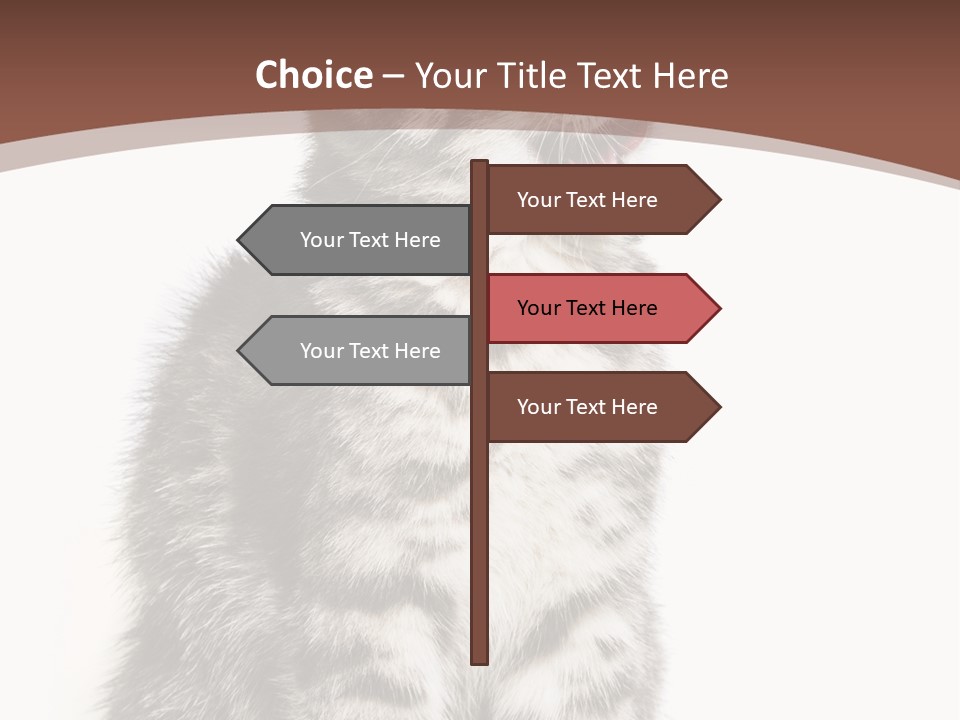 Spring Healthy Springtime PowerPoint Template