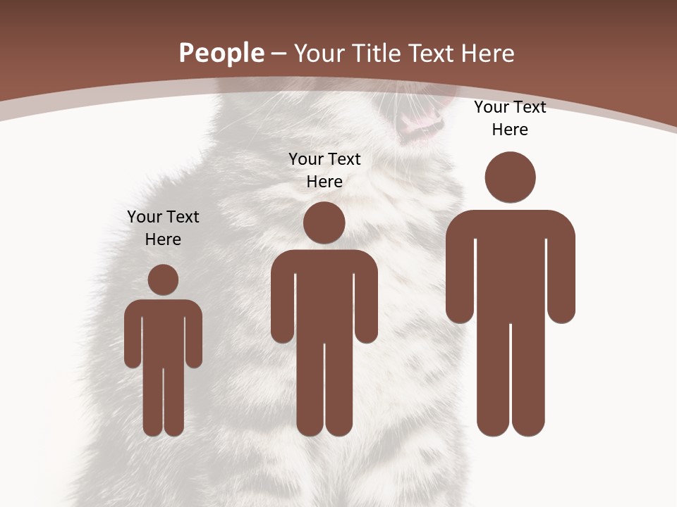 Spring Healthy Springtime PowerPoint Template