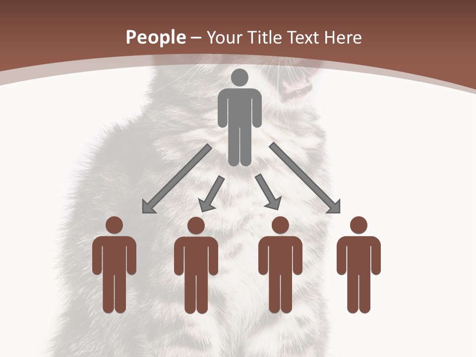 Spring Healthy Springtime PowerPoint Template