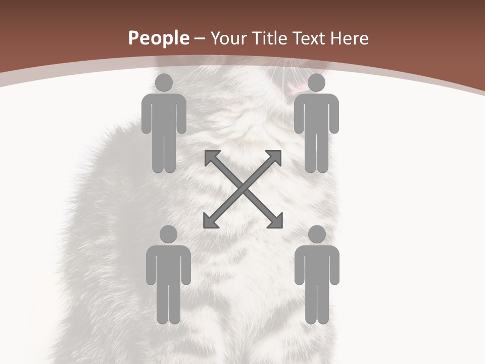 Spring Healthy Springtime PowerPoint Template