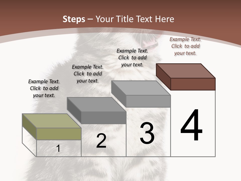 Spring Healthy Springtime PowerPoint Template