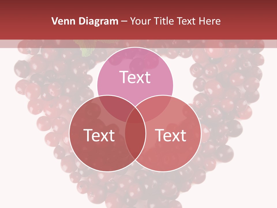 Mossberry Mint Bright PowerPoint Template