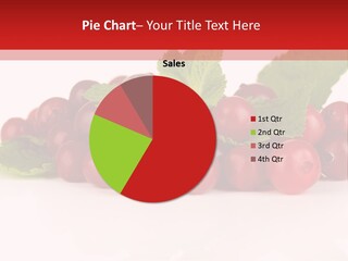 Cranberry Berries Healthy PowerPoint Template
