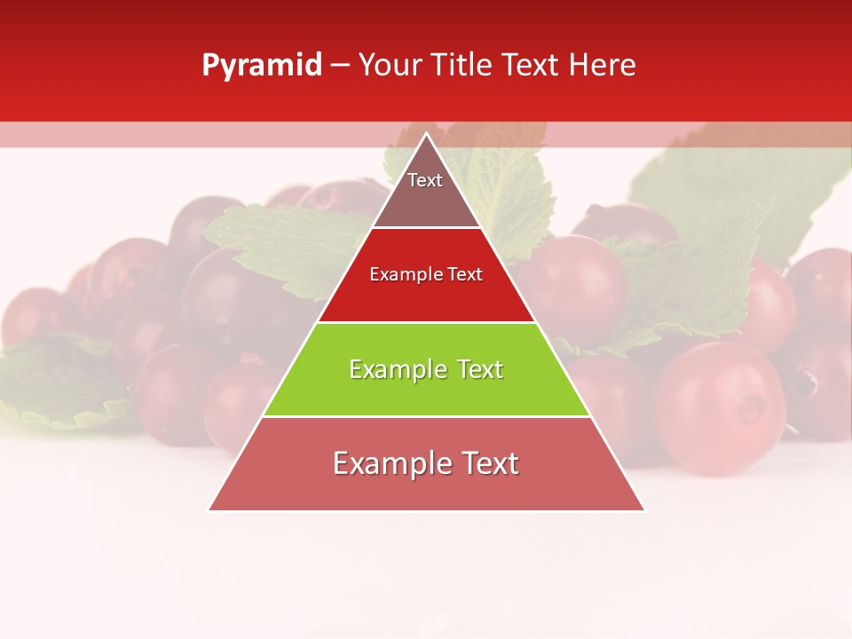 Cranberry Berries Healthy PowerPoint Template