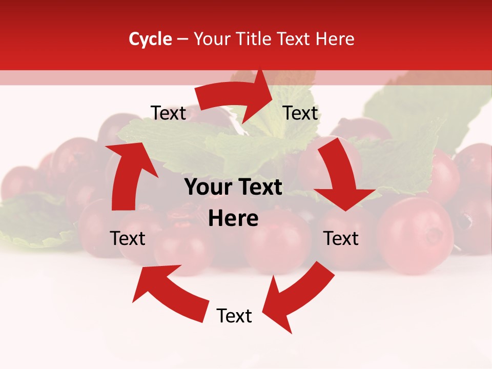 Cranberry Berries Healthy PowerPoint Template