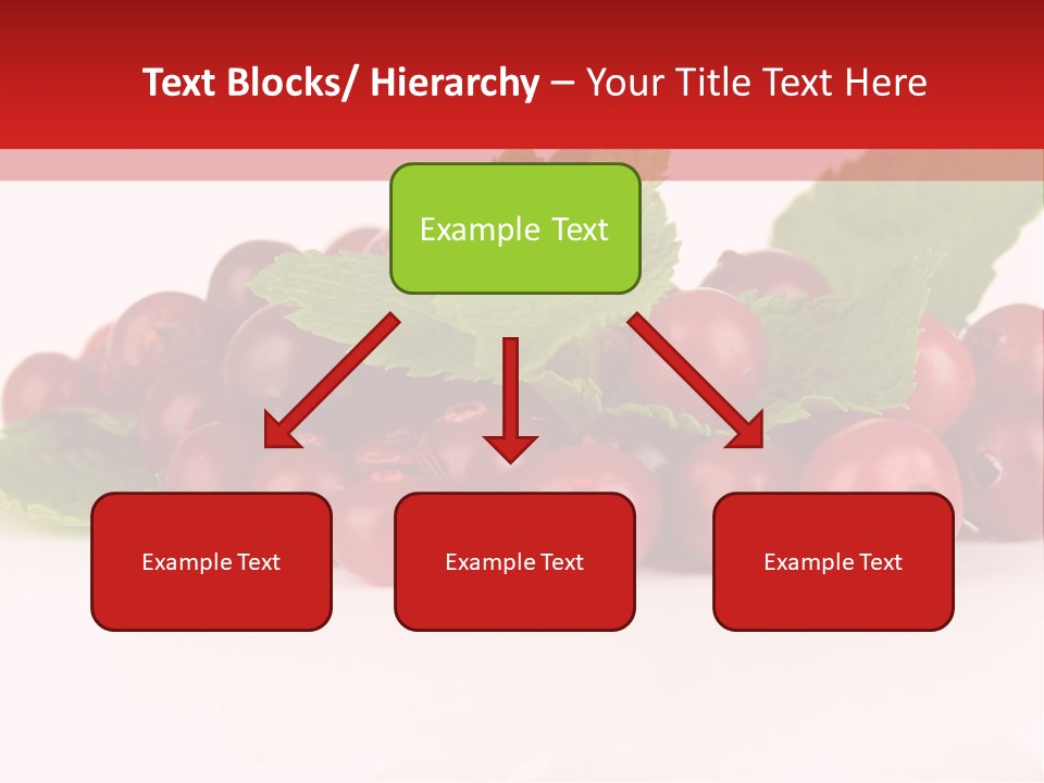 Cranberry Berries Healthy PowerPoint Template