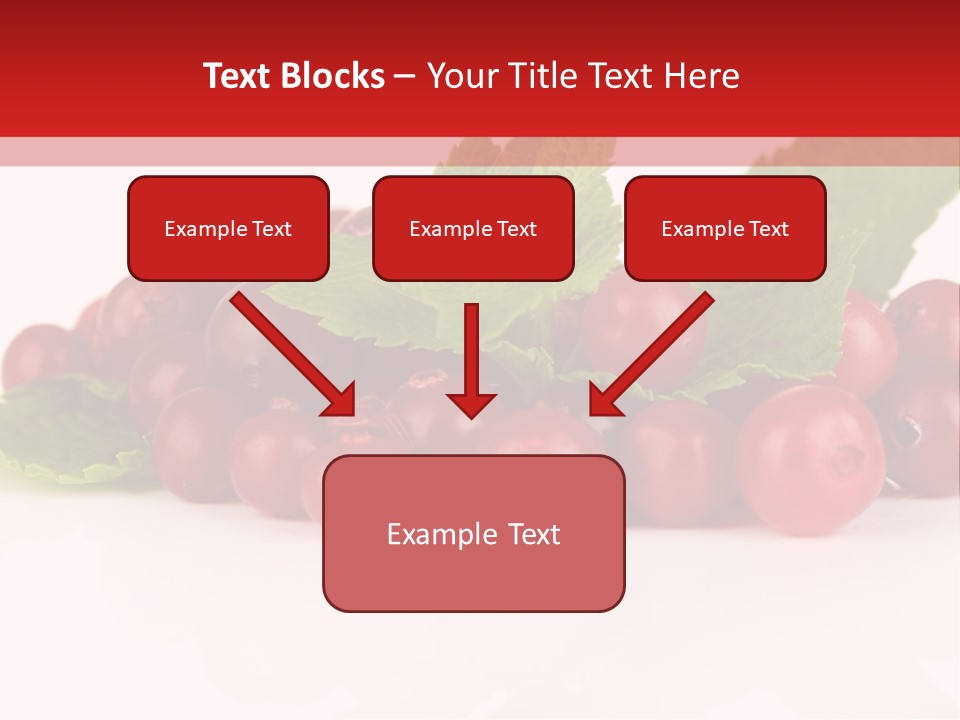 Cranberry Berries Healthy PowerPoint Template