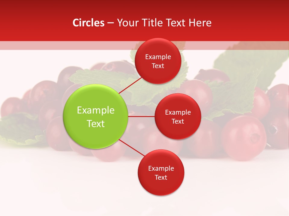 Cranberry Berries Healthy PowerPoint Template