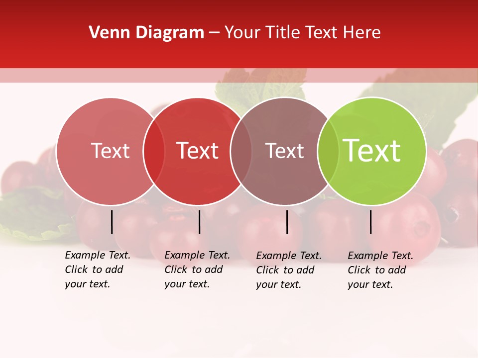 Cranberry Berries Healthy PowerPoint Template
