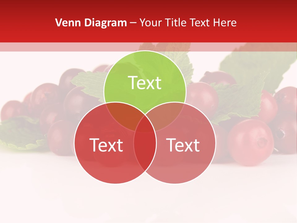 Cranberry Berries Healthy PowerPoint Template