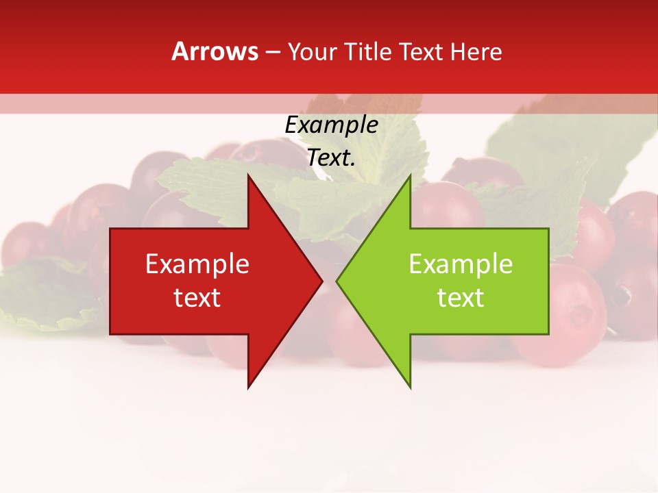 Cranberry Berries Healthy PowerPoint Template