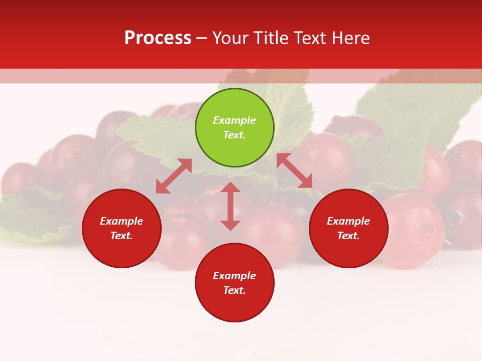 Cranberry Berries Healthy PowerPoint Template