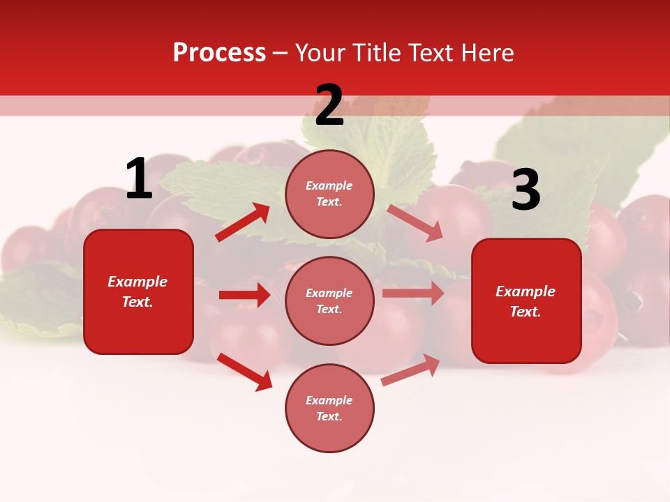 Cranberry Berries Healthy PowerPoint Template