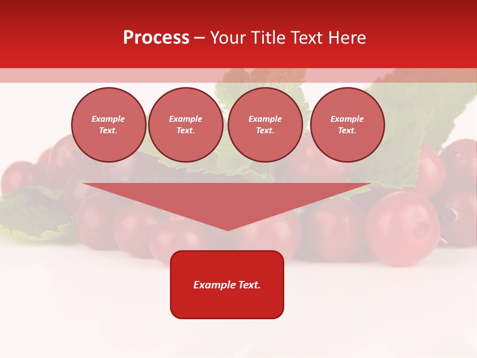 Cranberry Berries Healthy PowerPoint Template