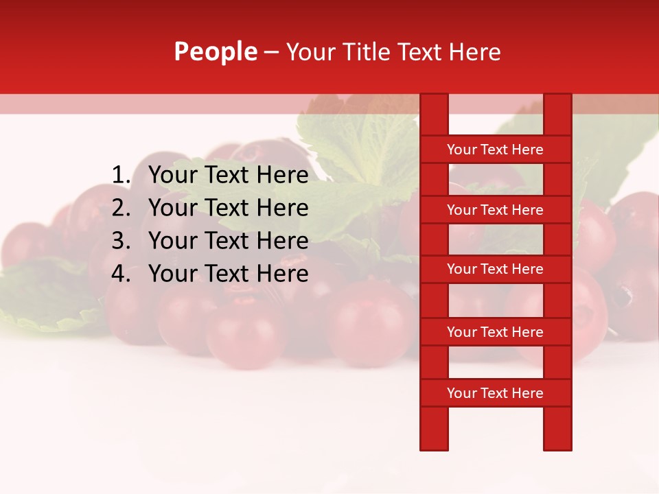 Cranberry Berries Healthy PowerPoint Template