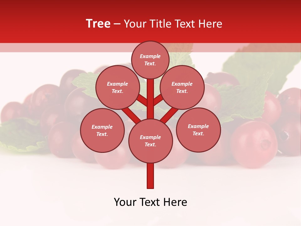 Cranberry Berries Healthy PowerPoint Template