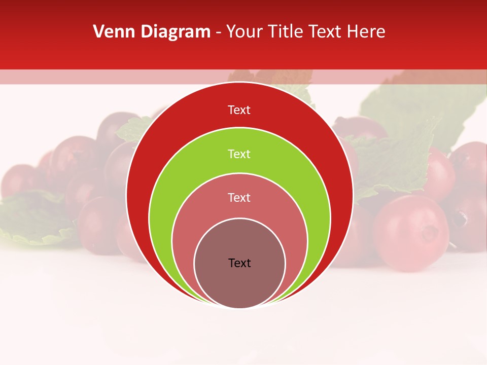 Cranberry Berries Healthy PowerPoint Template