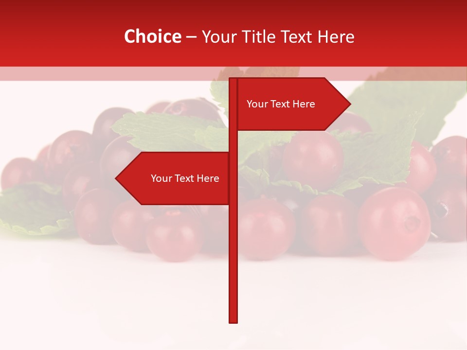 Cranberry Berries Healthy PowerPoint Template