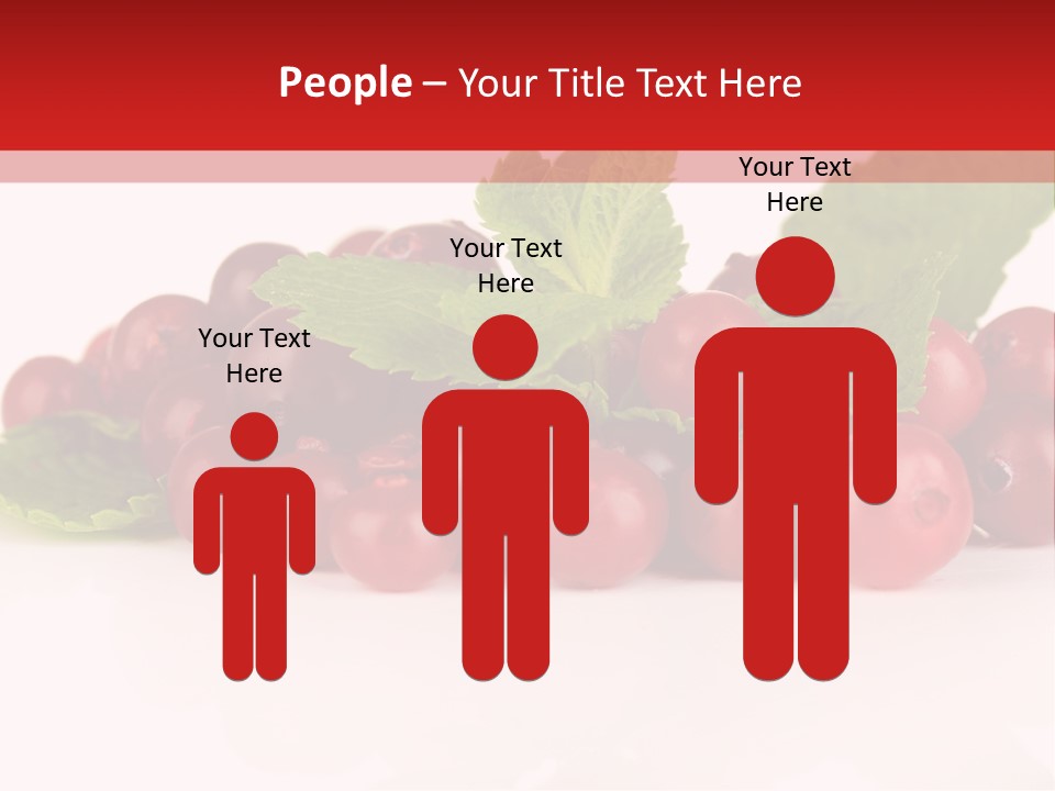 Cranberry Berries Healthy PowerPoint Template