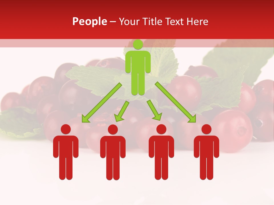 Cranberry Berries Healthy PowerPoint Template