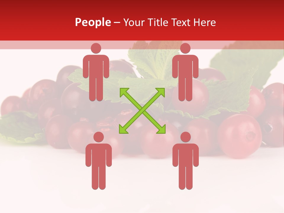 Cranberry Berries Healthy PowerPoint Template