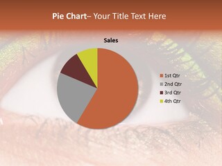 Fine Care Makeup PowerPoint Template