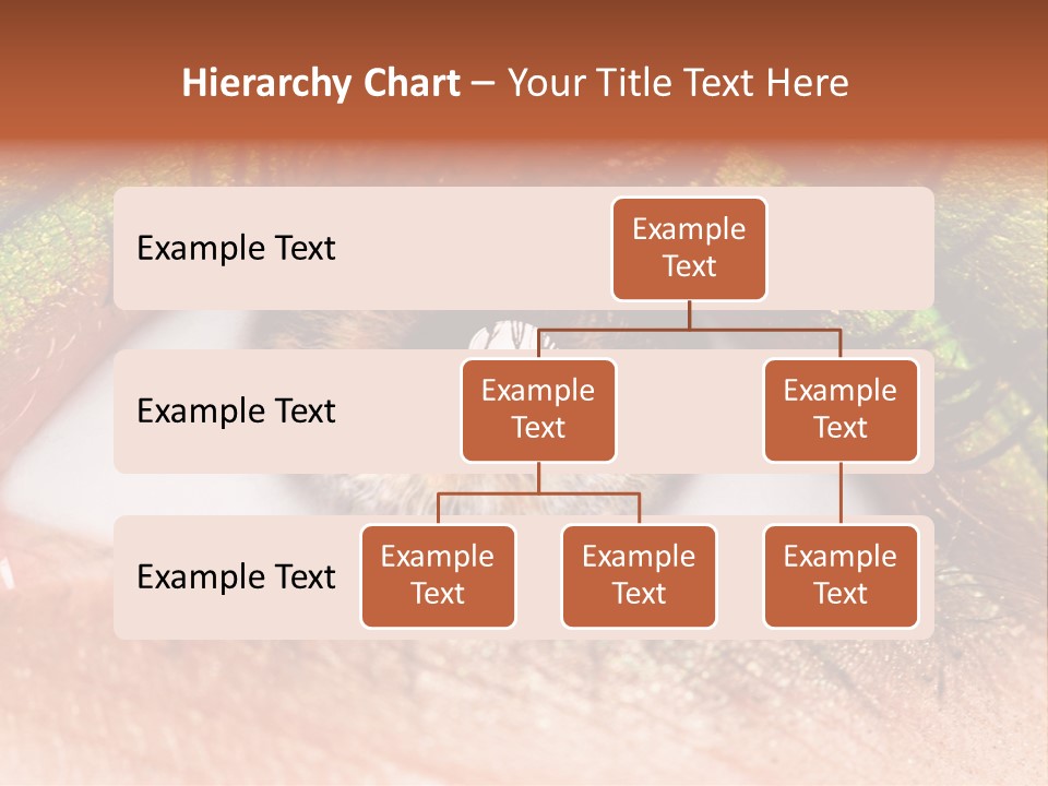 Fine Care Makeup PowerPoint Template