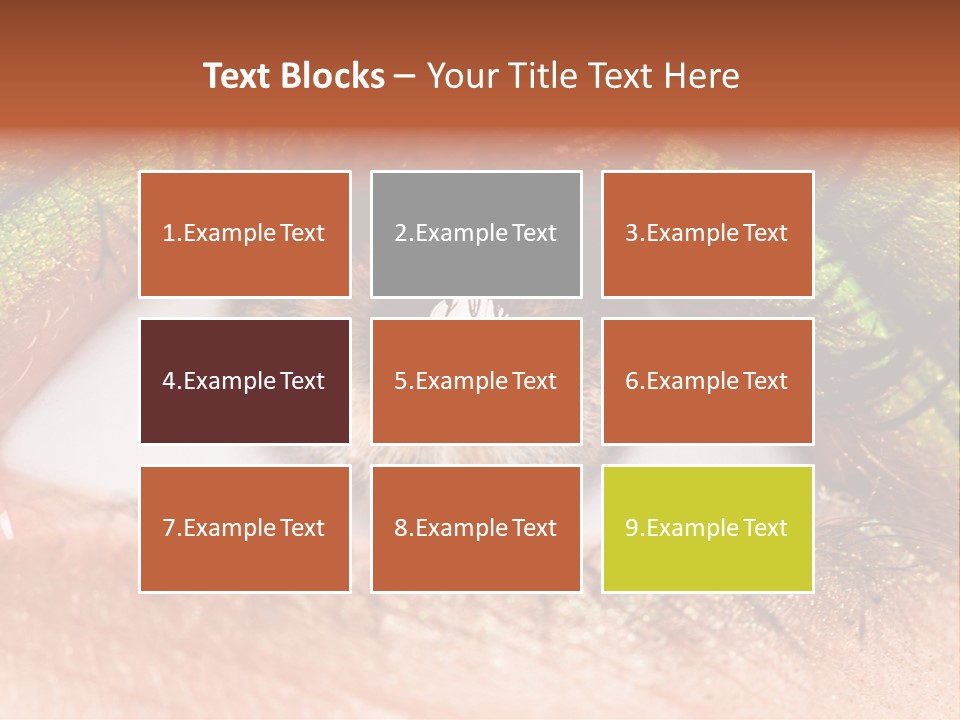 Fine Care Makeup PowerPoint Template