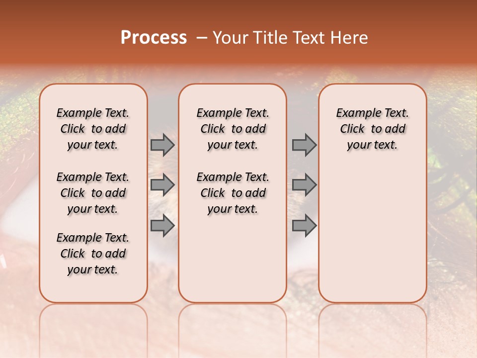 Fine Care Makeup PowerPoint Template