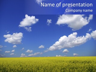 Scene Plant Lush PowerPoint Template