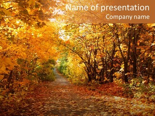 Leaf Woods Foliage PowerPoint Template