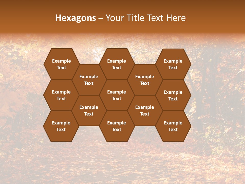 Leaf Woods Foliage PowerPoint Template