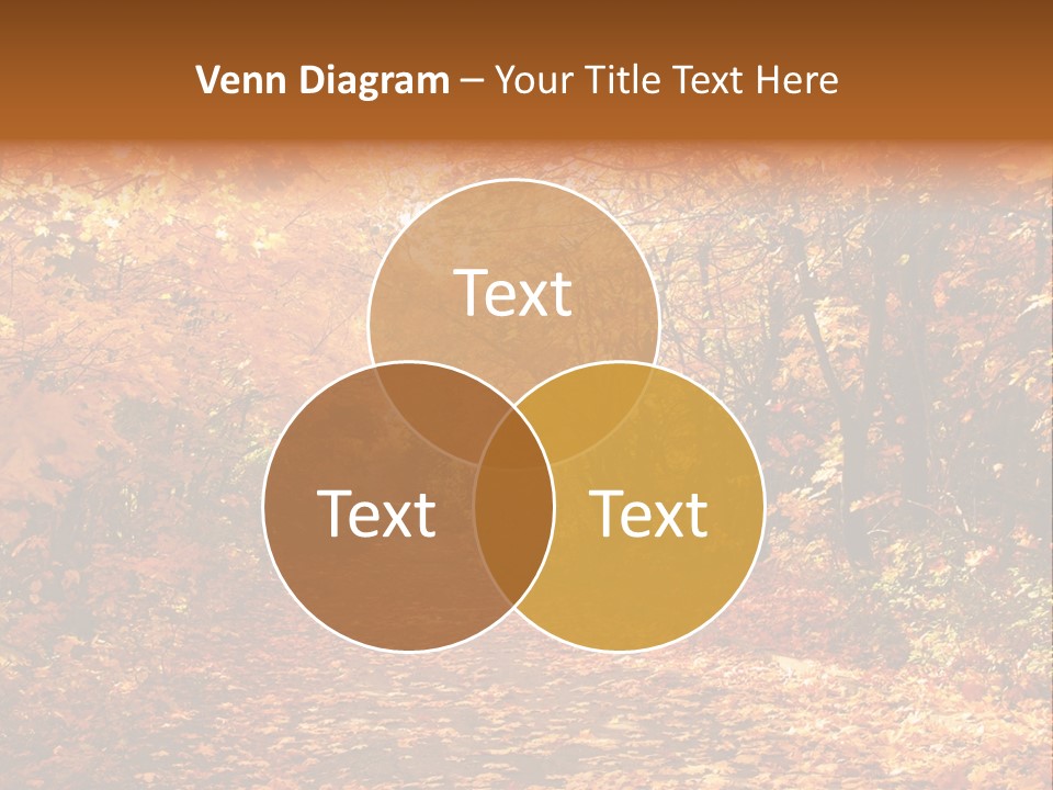Leaf Woods Foliage PowerPoint Template