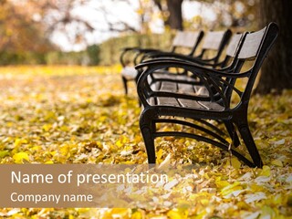 November Leaves Woods PowerPoint Template