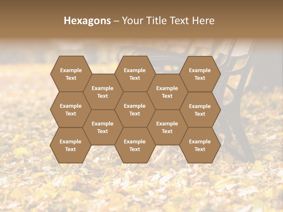 November Leaves Woods PowerPoint Template