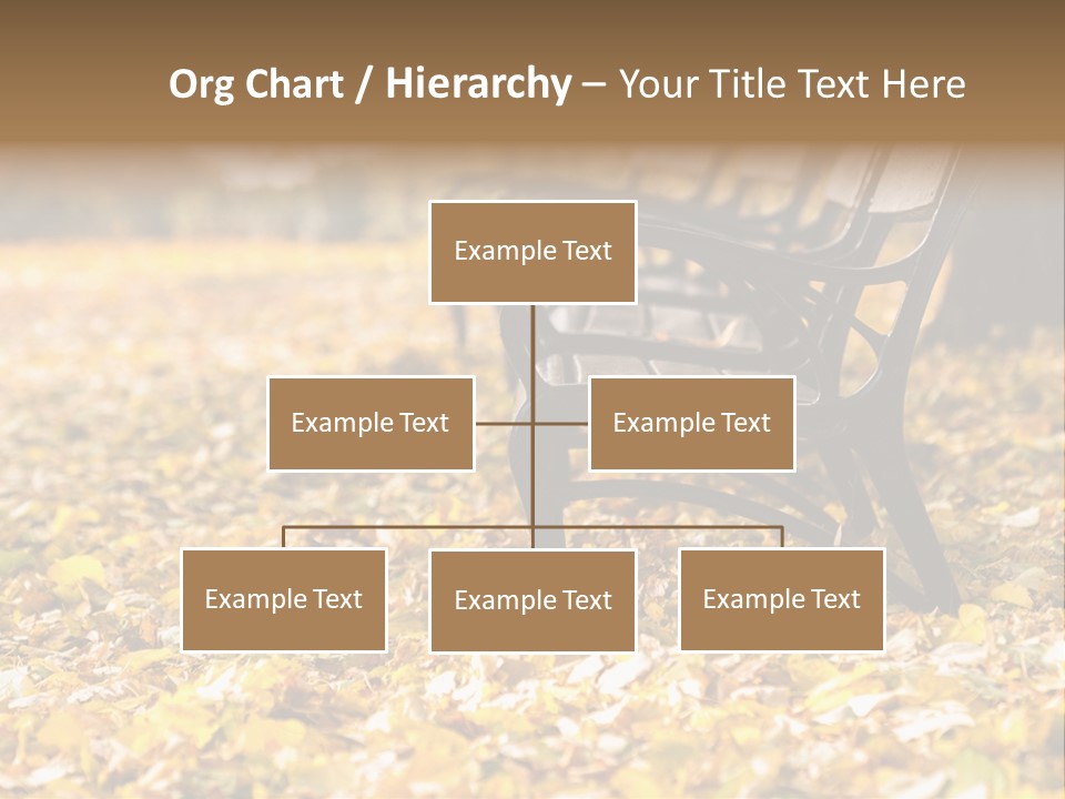 November Leaves Woods PowerPoint Template
