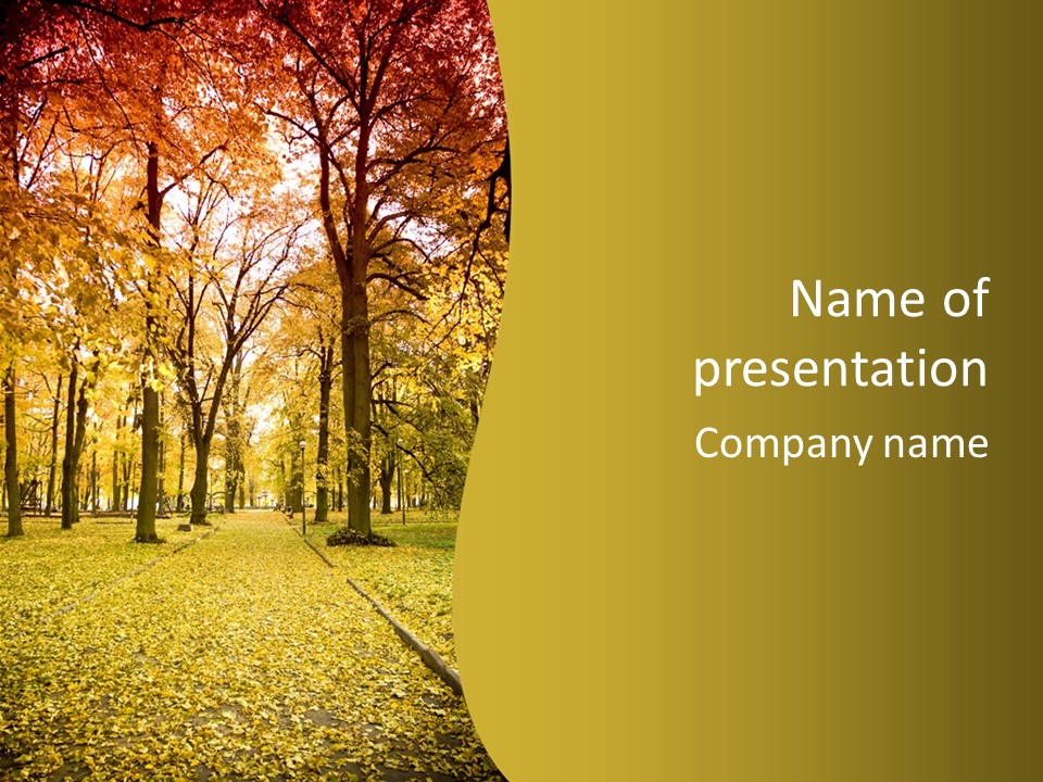 Krajobraz Tajemniczy Promienie PowerPoint Template