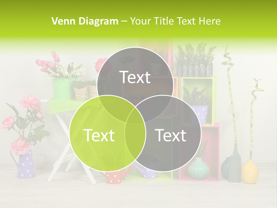 Decor Nobody Equipment PowerPoint Template