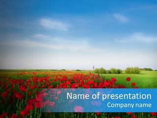 Freshness Meadow Rural Scene PowerPoint Template