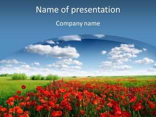Multi Colored Beauty In Nature Sky PowerPoint Template