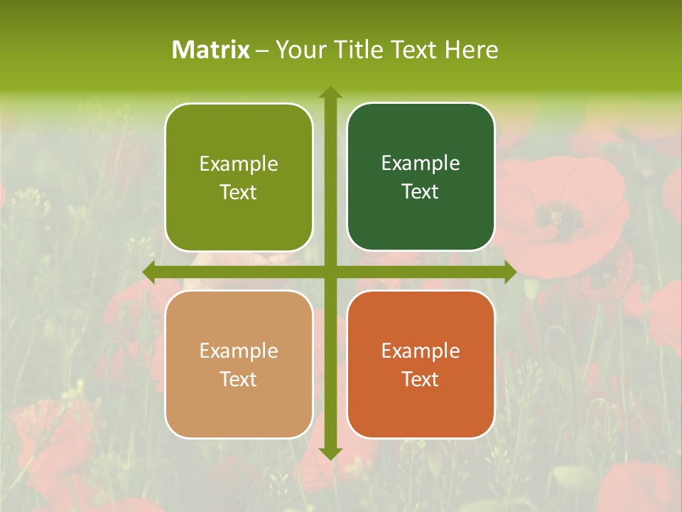 Landscape Sunrise Grass PowerPoint Template