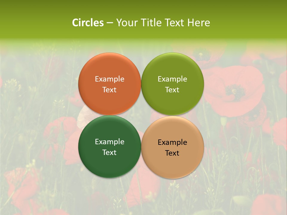 Landscape Sunrise Grass PowerPoint Template