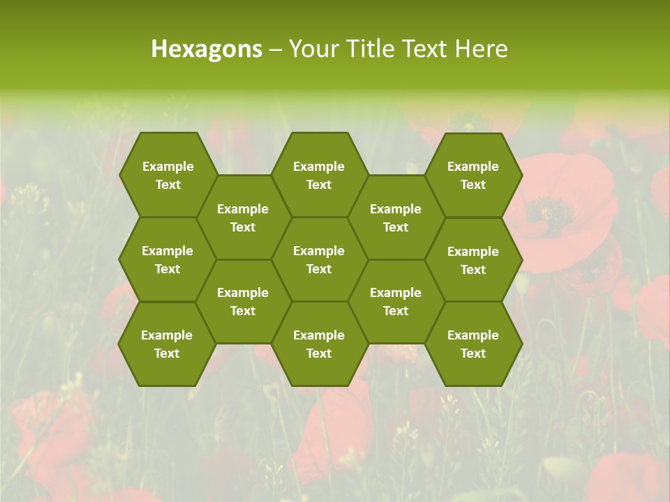 Landscape Sunrise Grass PowerPoint Template